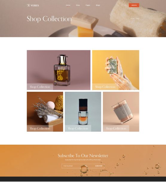 Shop Collection 01